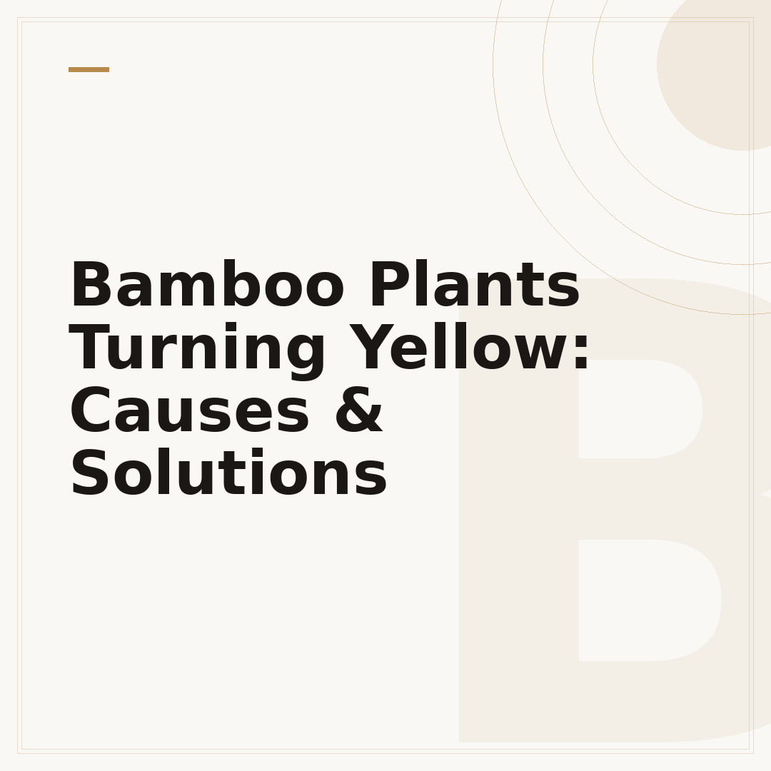 Bamboo Plants Turning Yellow: Causes & Solutions