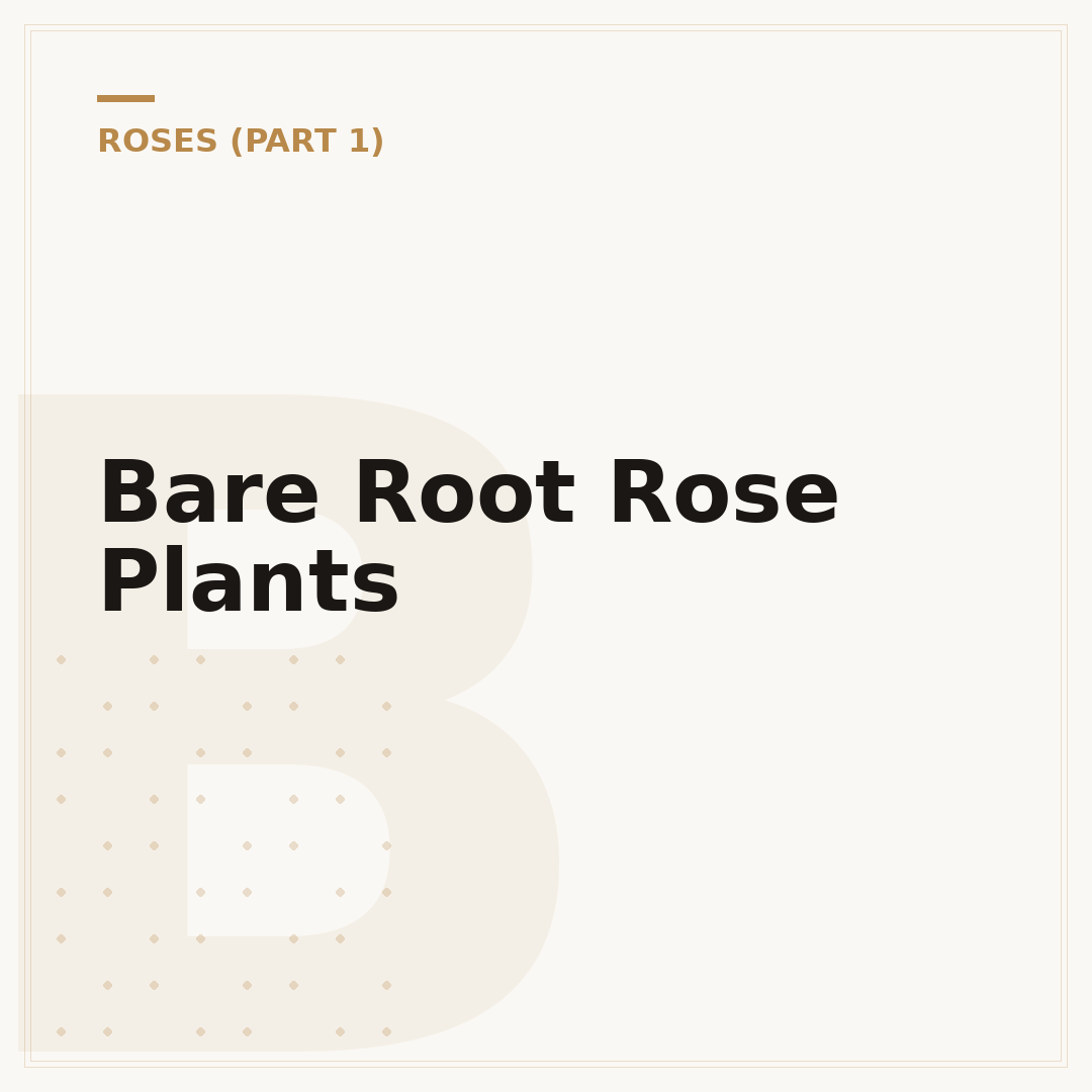Bare Root Rose Plants