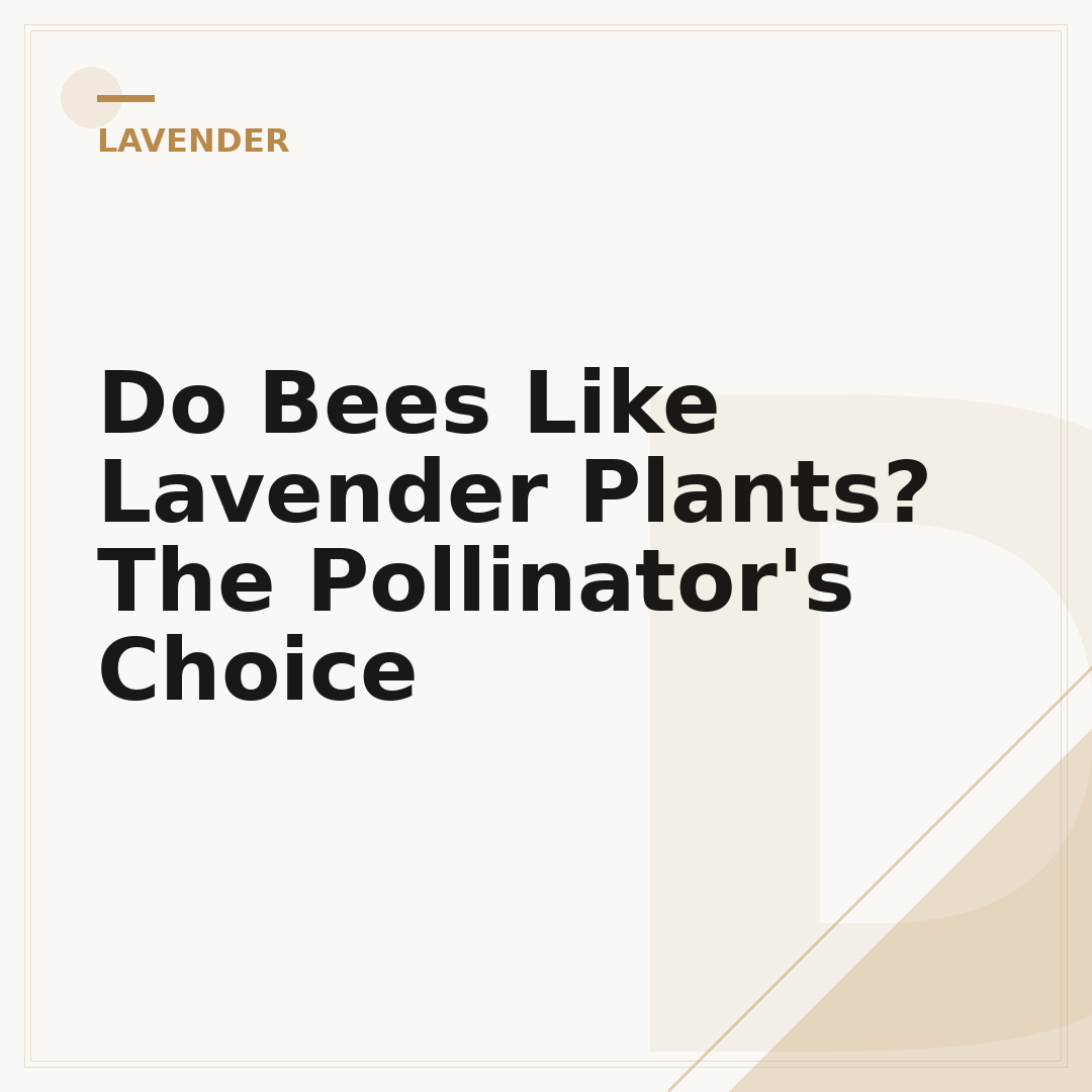 Do Bees Like Lavender Plants? The Pollinator's Choice