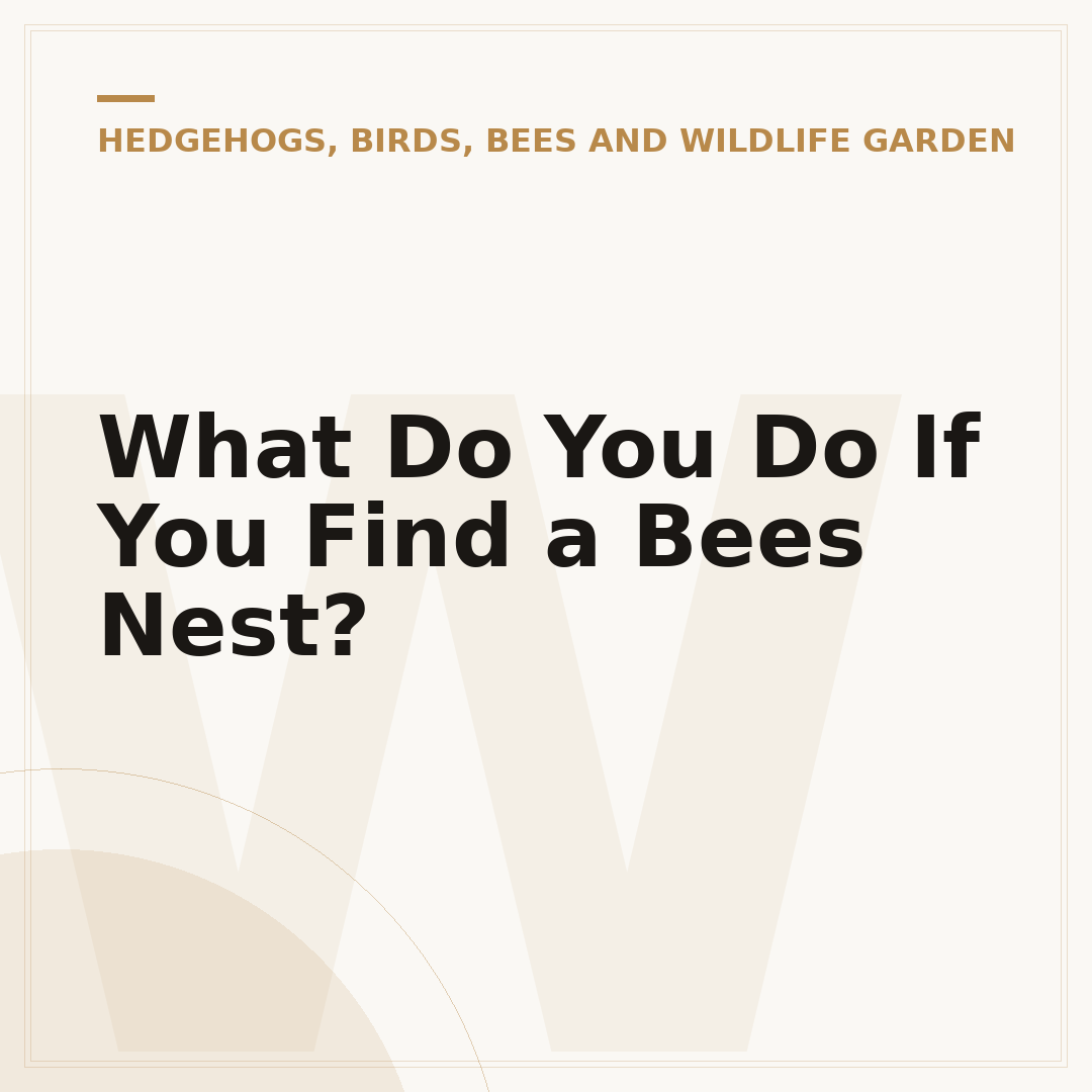 What Do You Do If You Find a Bees Nest?