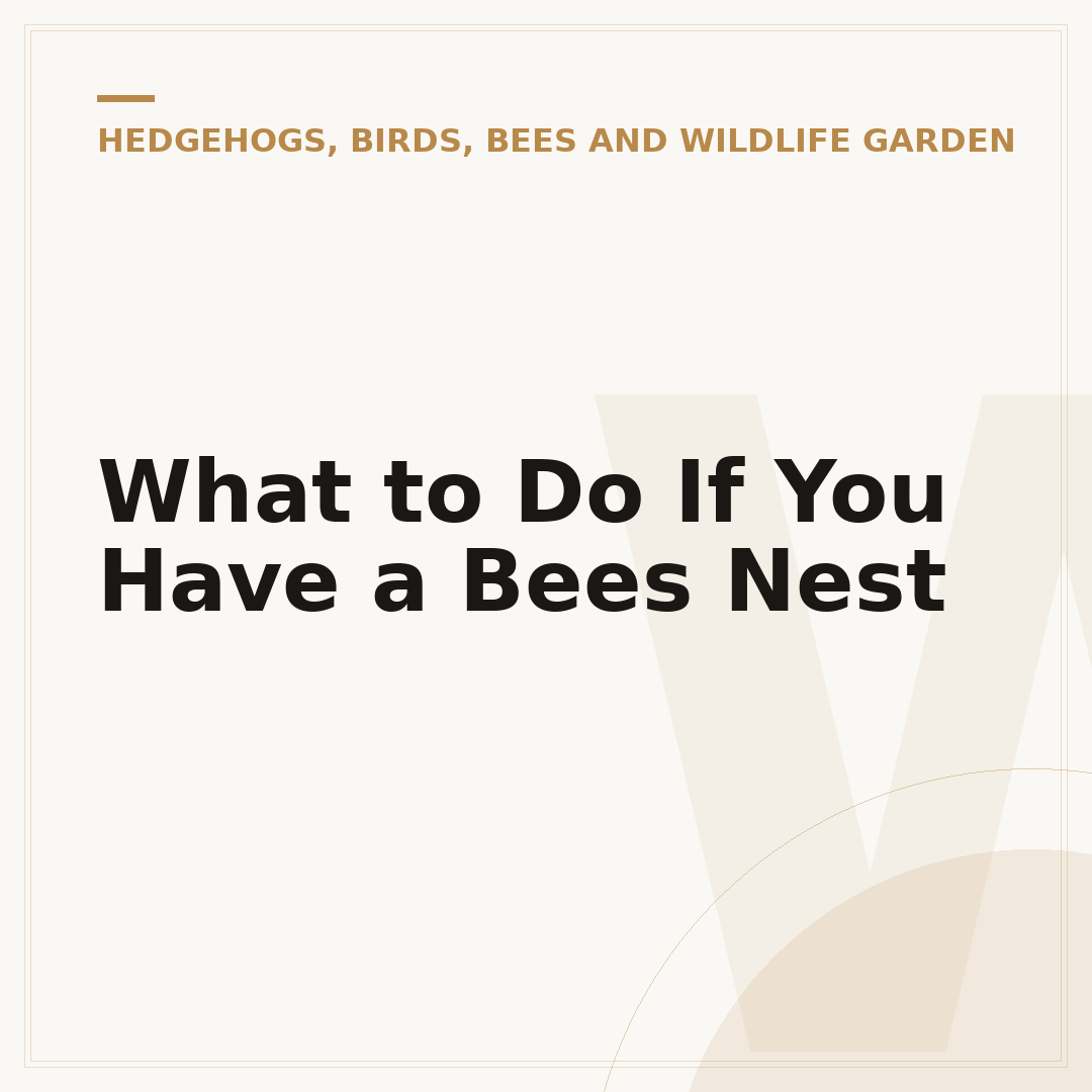 What to Do If You Have a Bees Nest
