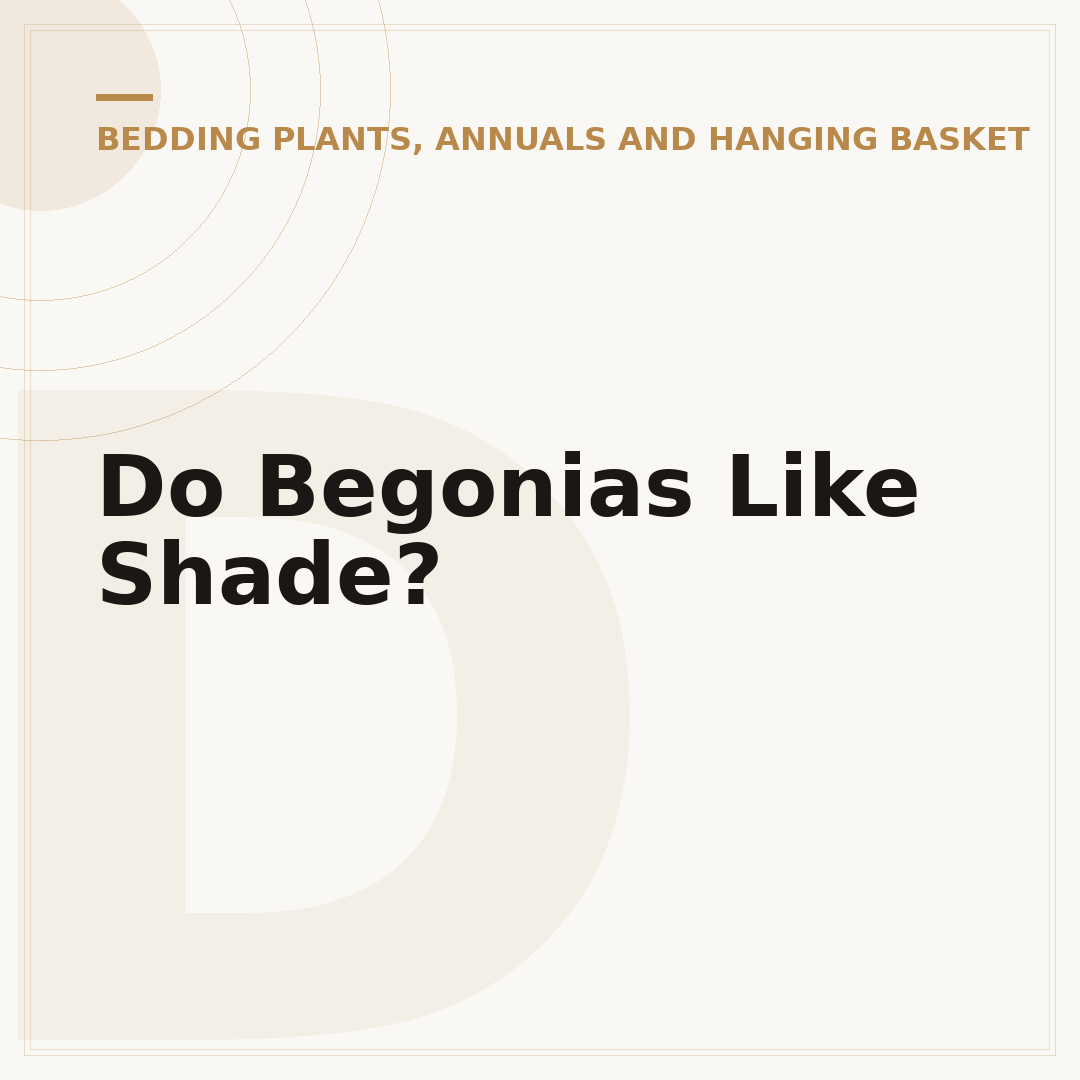 Do Begonias Like Shade?
