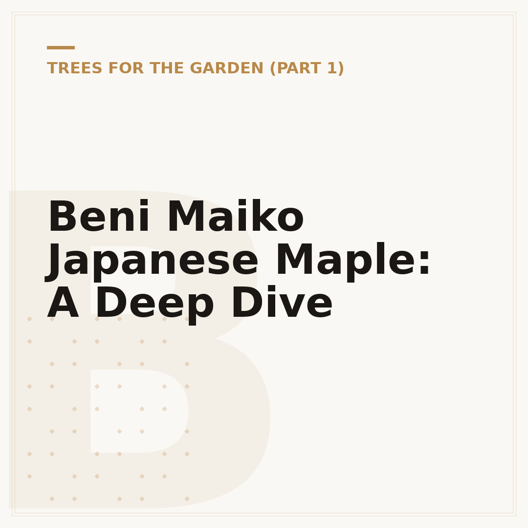 Beni Maiko Japanese Maple: A Deep Dive
