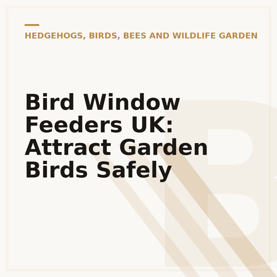 Bird Window Feeders UK: Attract Garden Birds Safely