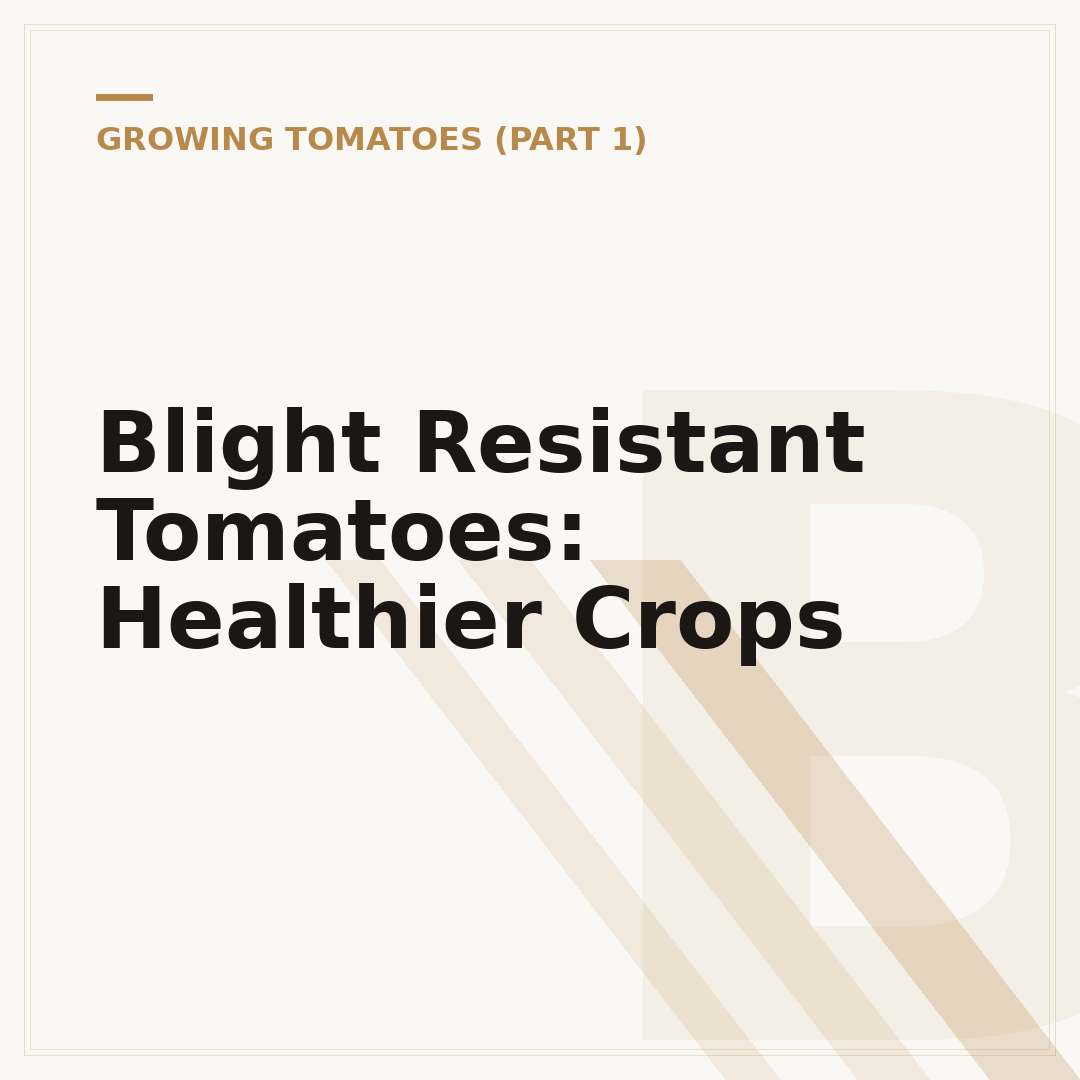Blight Resistant Tomatoes: Healthier Crops