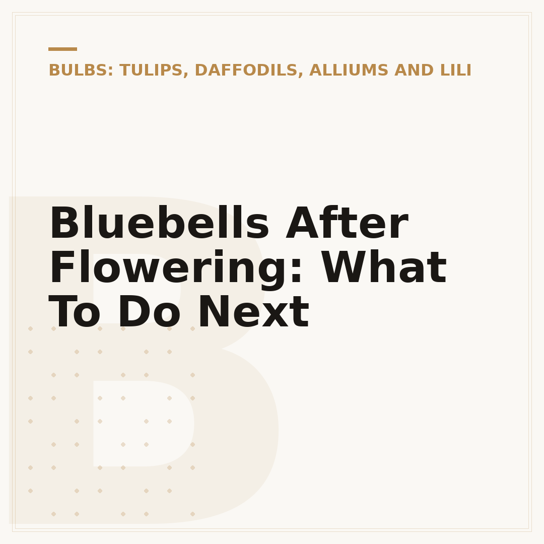 Bluebells After Flowering: What To Do Next
