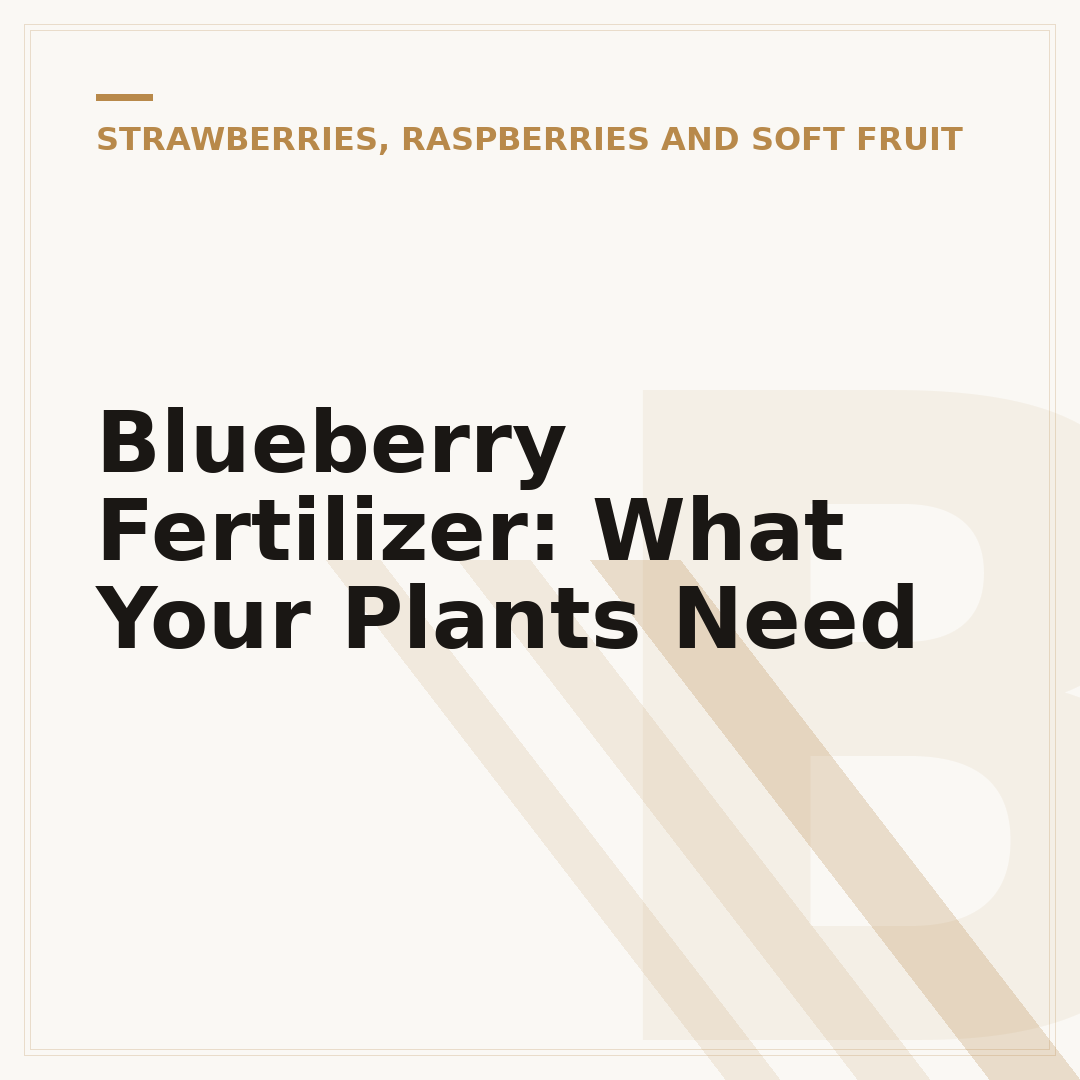 Blueberry Fertilizer: What Your Plants Need
