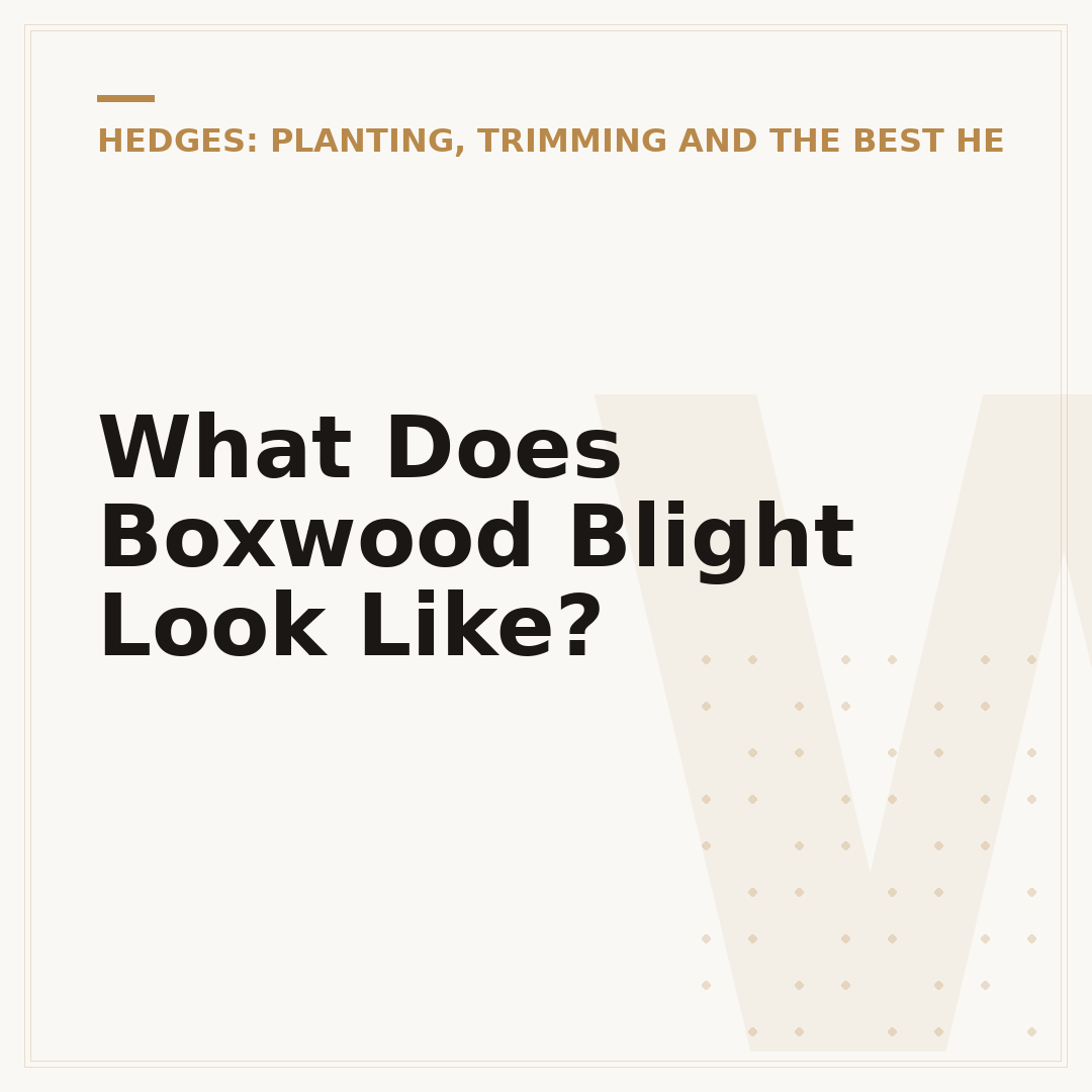 What Does Boxwood Blight Look Like?