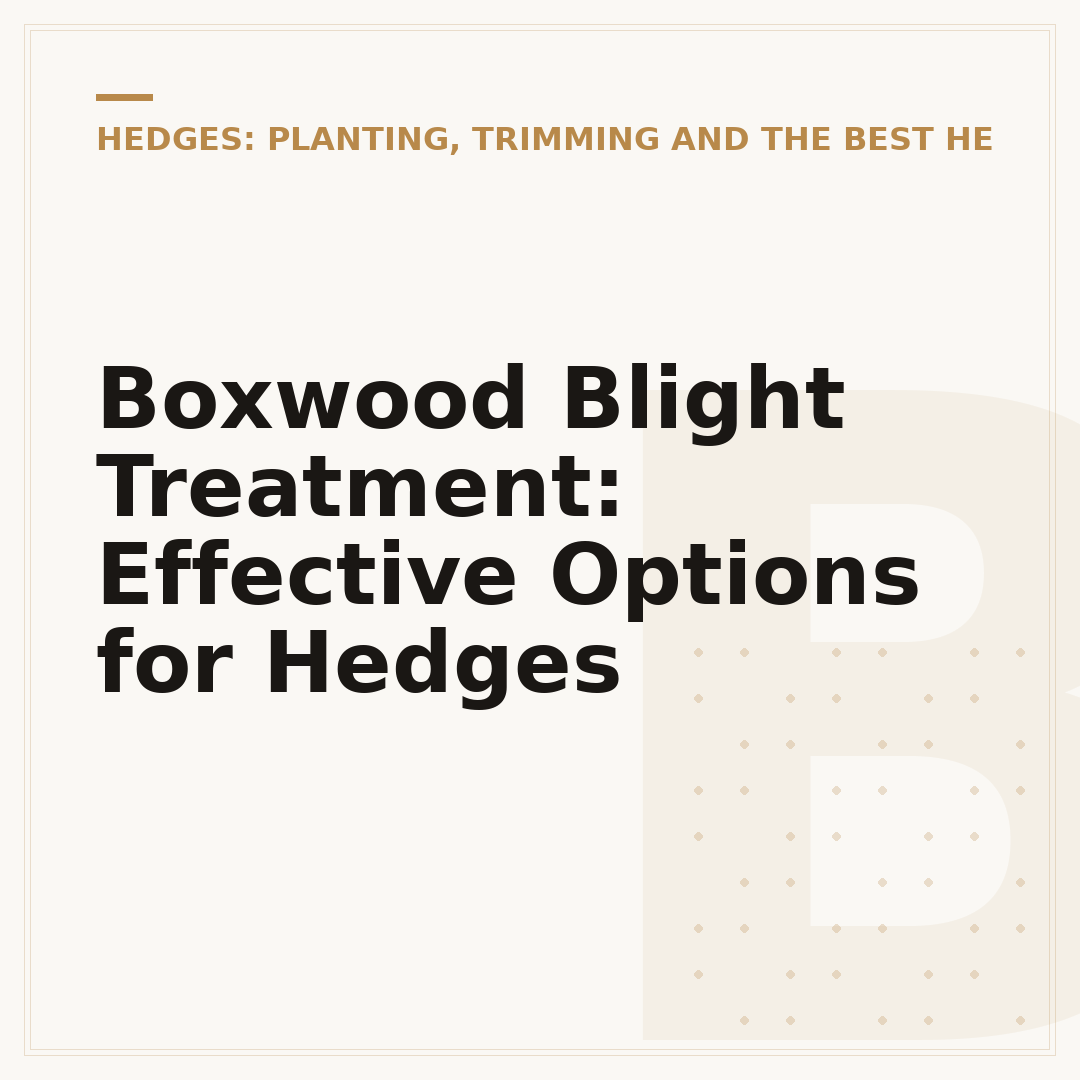 Boxwood Blight Treatment: Effective Options for Hedges