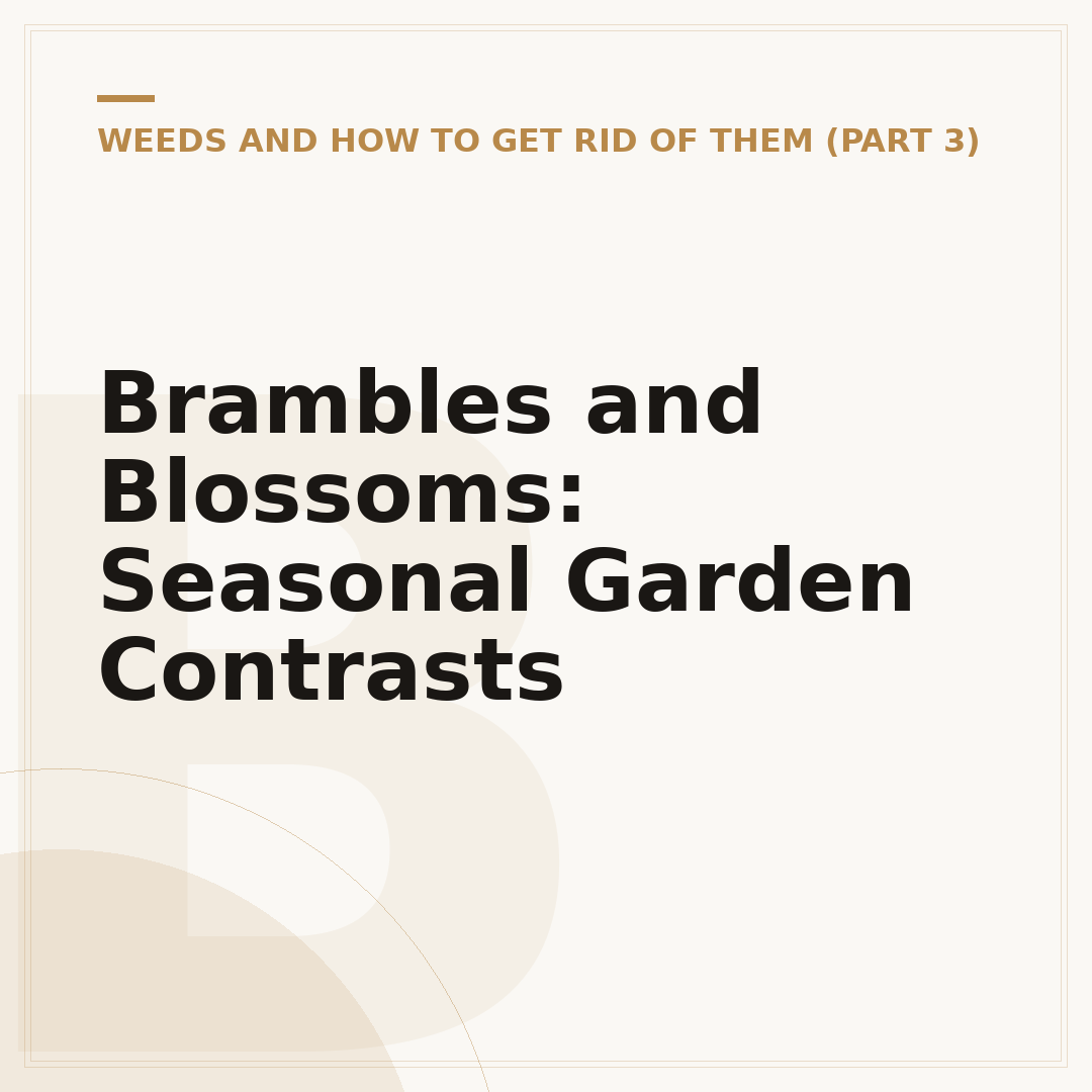 Brambles and Blossoms: Seasonal Garden Contrasts