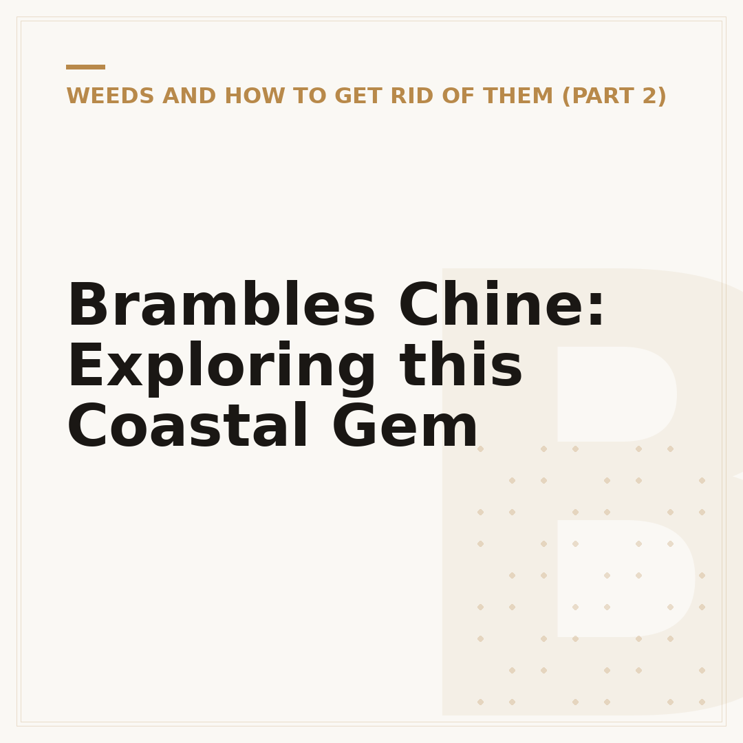 Brambles Chine: Exploring this Coastal Gem