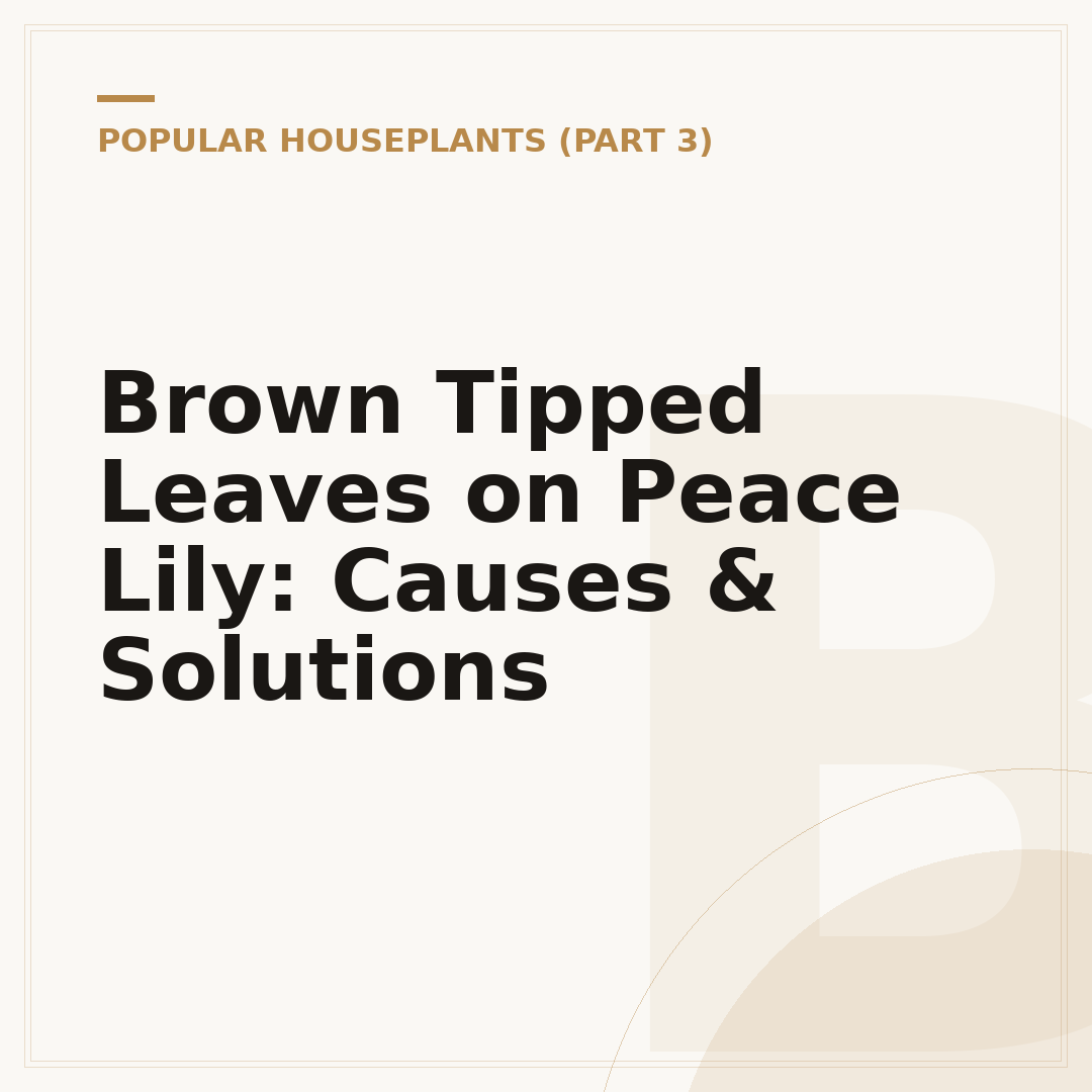 Brown Tipped Leaves on Peace Lily: Causes & Solutions