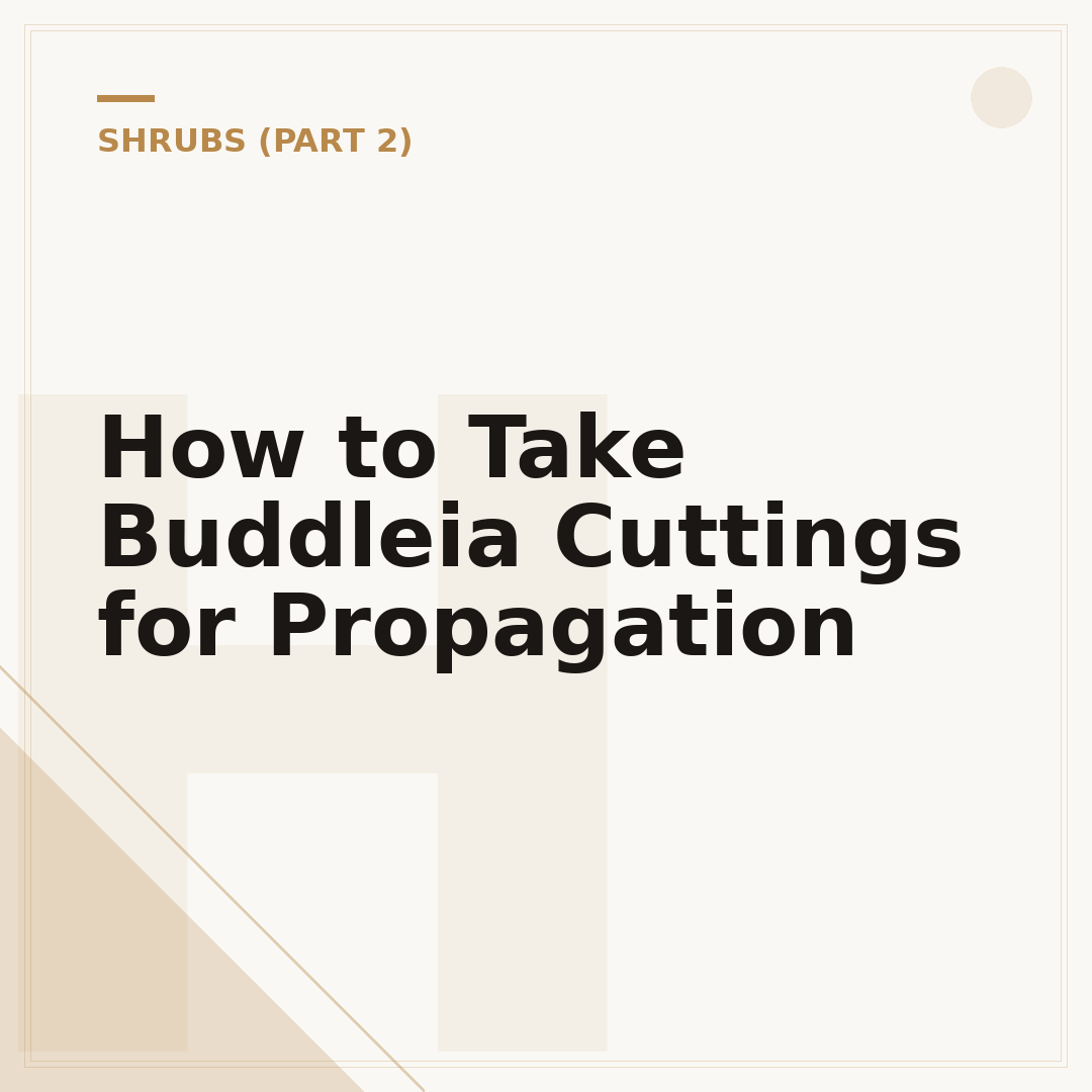 How to Take Buddleia Cuttings for Propagation