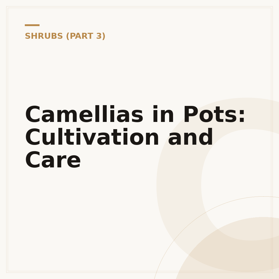 Camellias in Pots: Cultivation and Care
