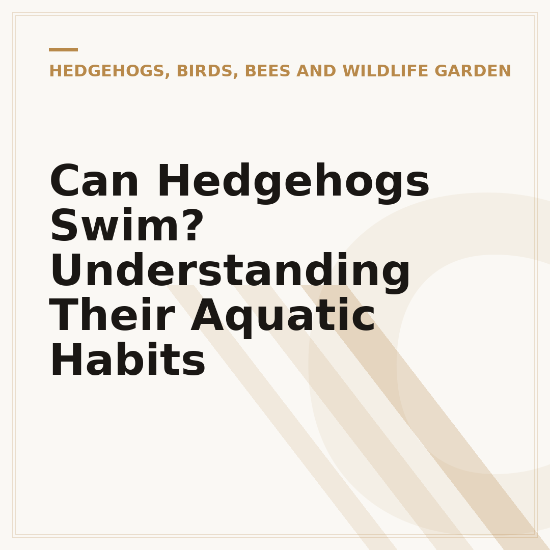 Can Hedgehogs Swim? Understanding Their Aquatic Habits