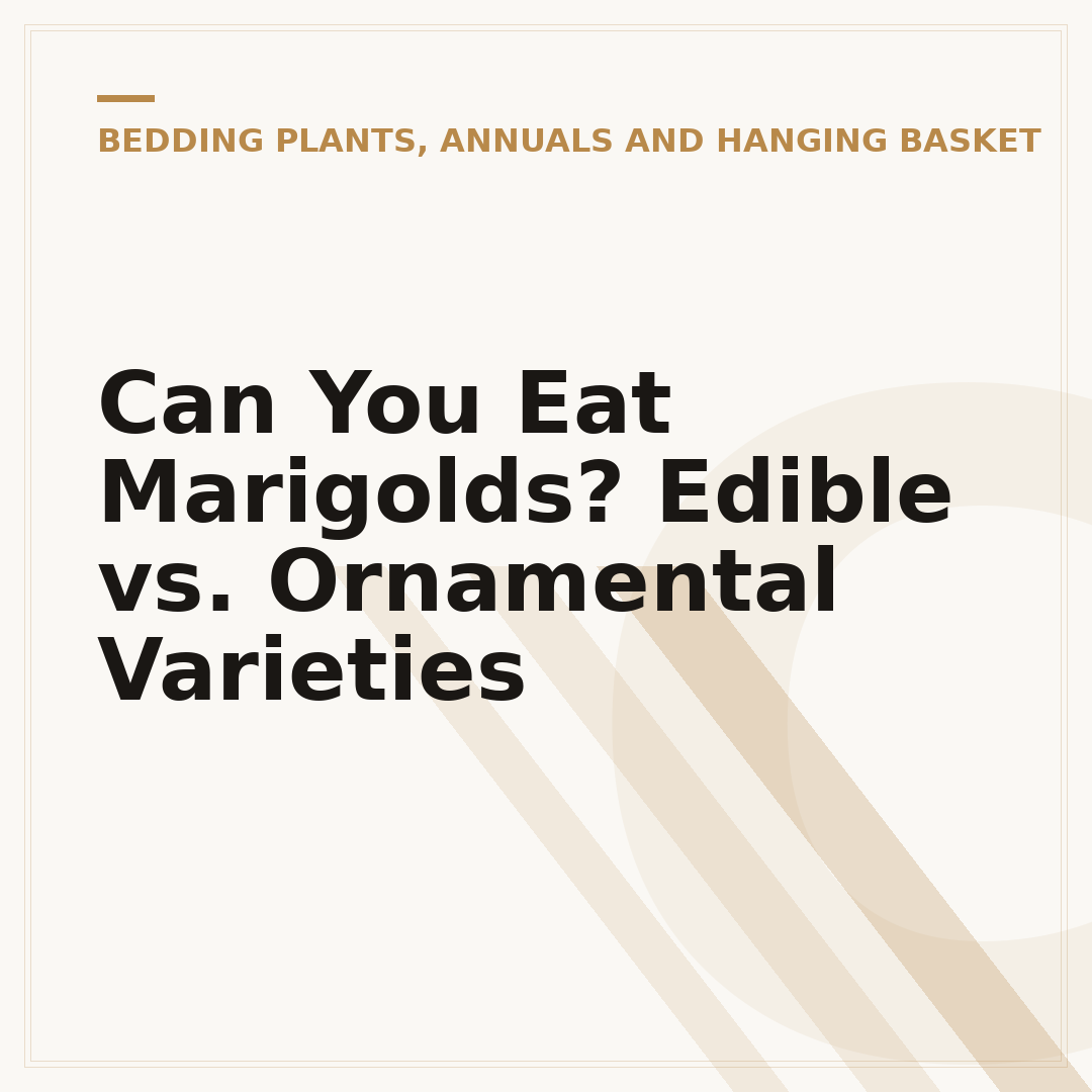 Can You Eat Marigolds? Edible vs. Ornamental Varieties