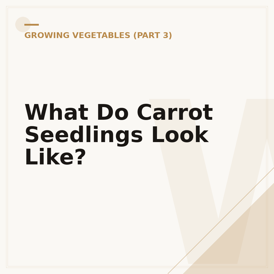 What Do Carrot Seedlings Look Like?