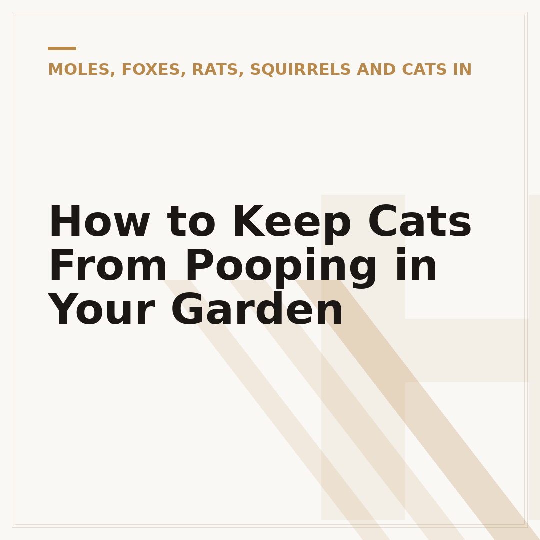 How to Keep Cats From Pooping in Your Garden