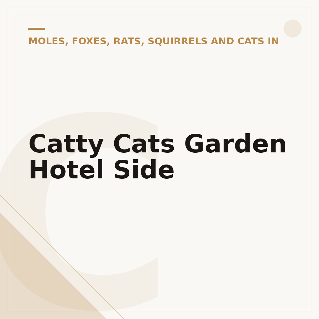 Catty Cats Garden Hotel Side