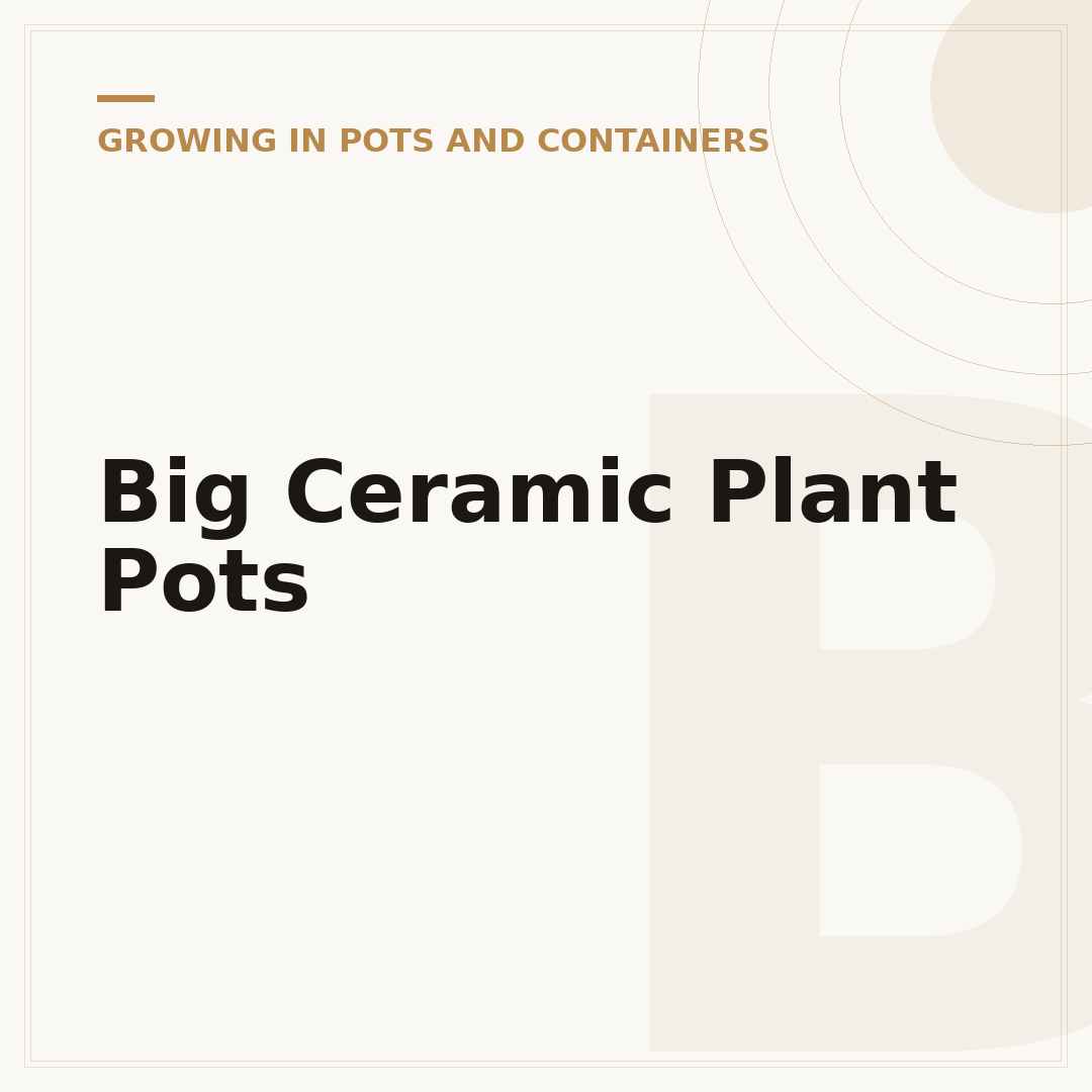 Big Ceramic Plant Pots