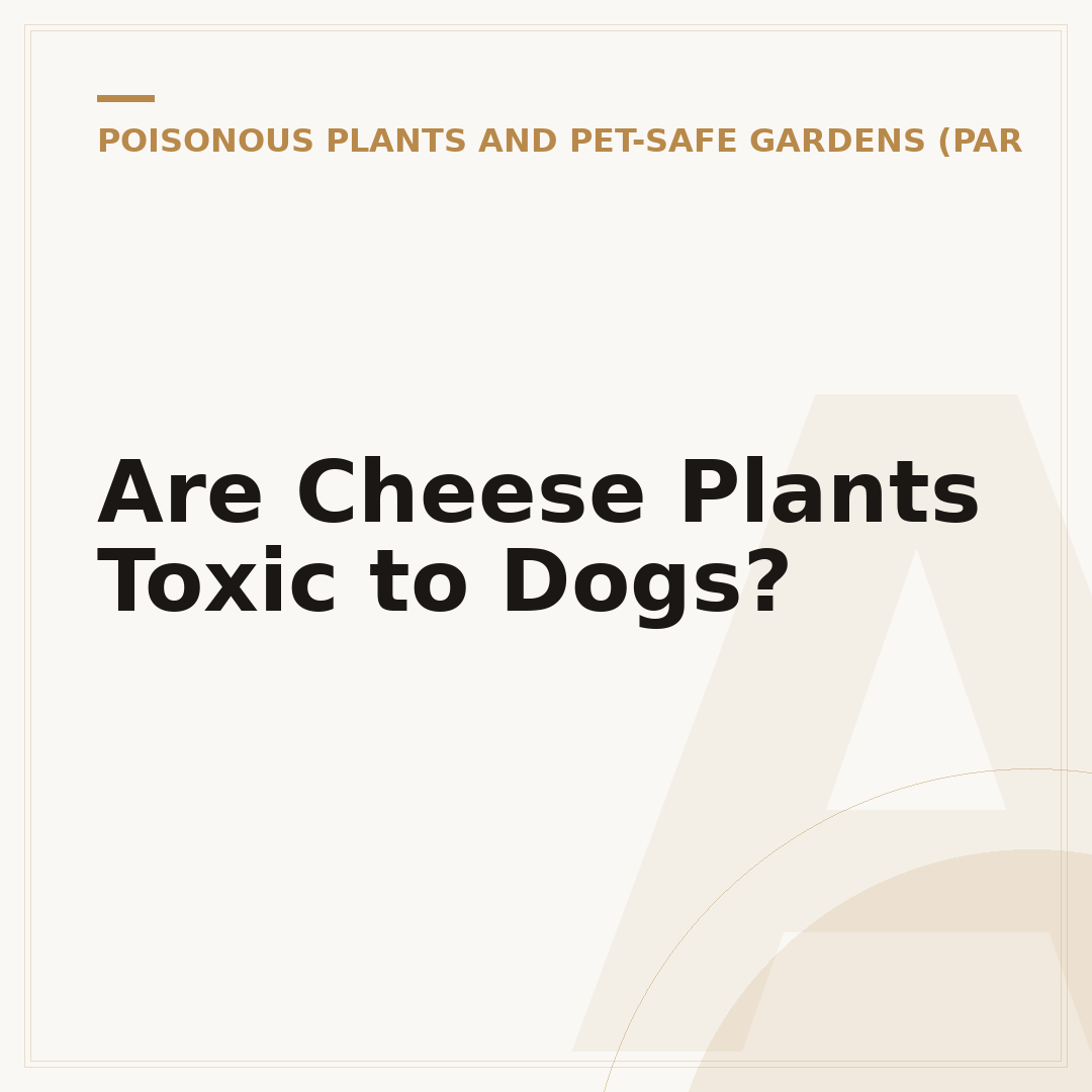Are Cheese Plants Toxic to Dogs?