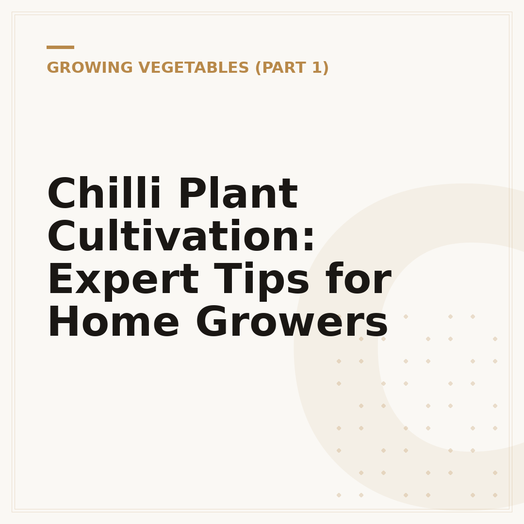 Chilli Plant Cultivation: Expert Tips for Home Growers