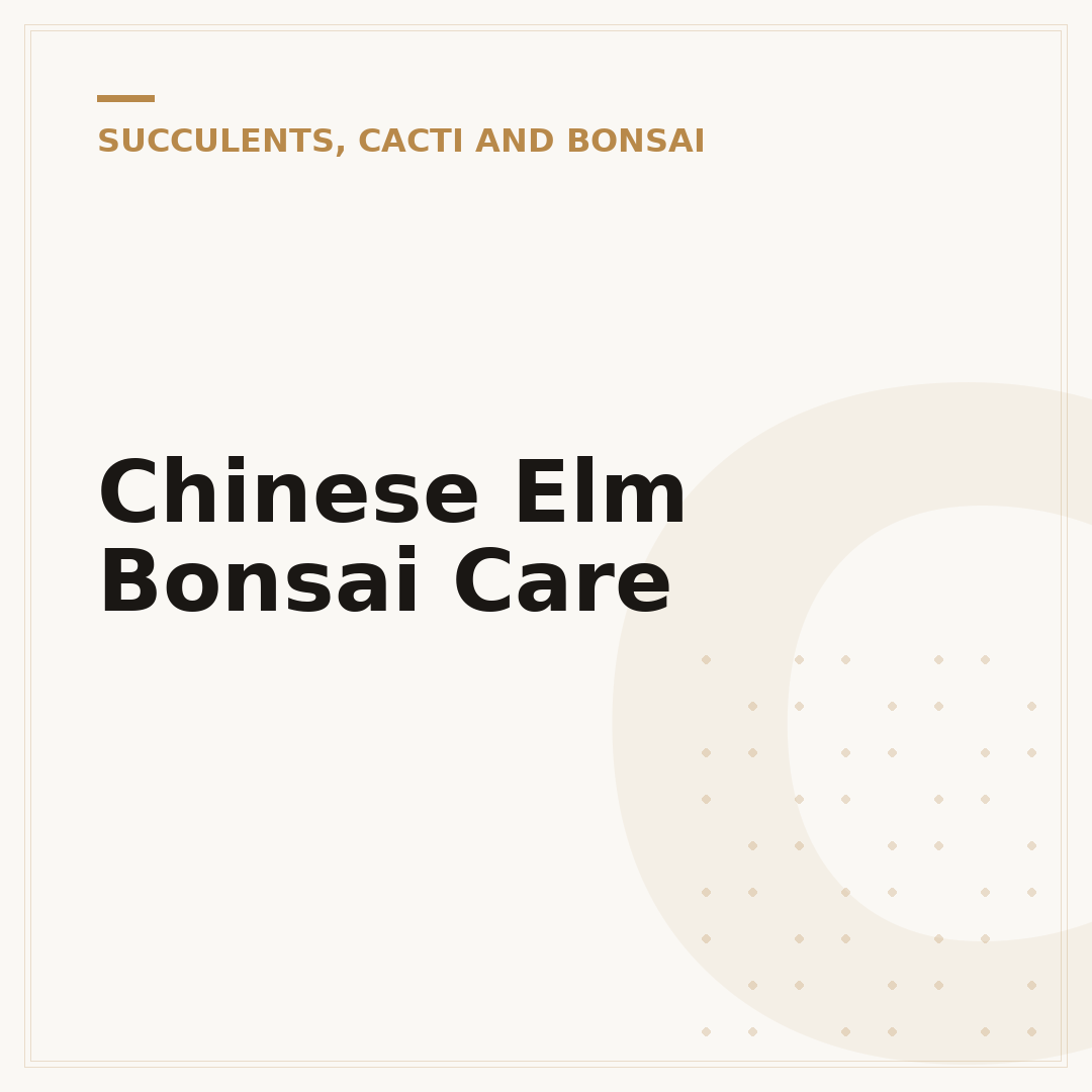 Chinese Elm Bonsai Care