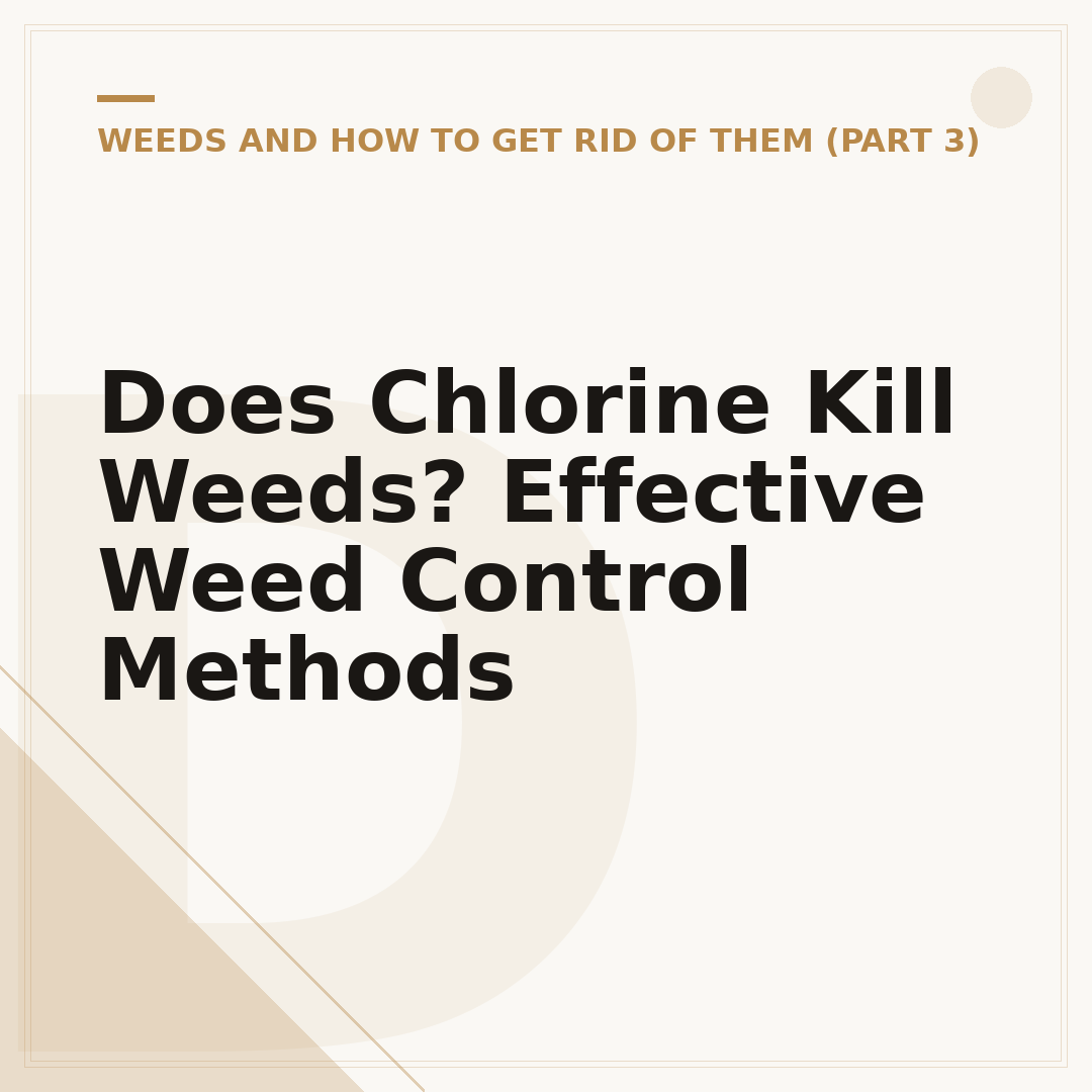 Does Chlorine Kill Weeds? Effective Weed Control Methods