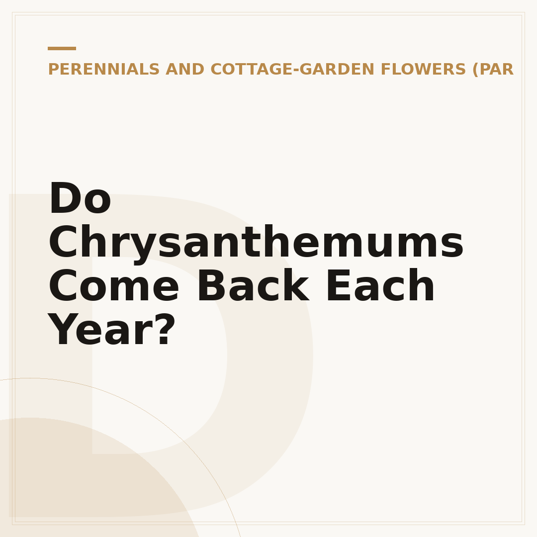 Do Chrysanthemums Come Back Each Year?