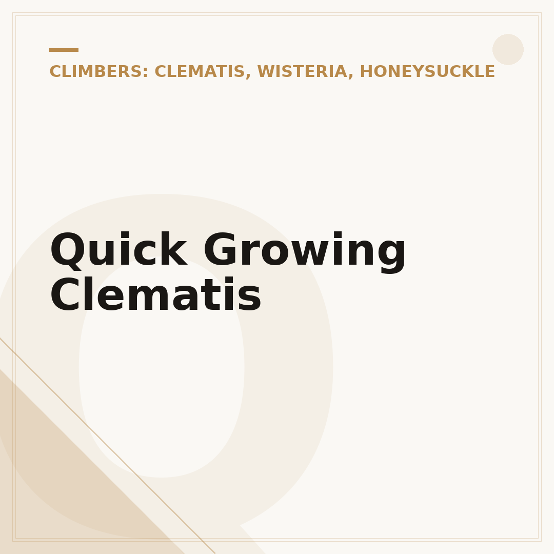 Quick Growing Clematis