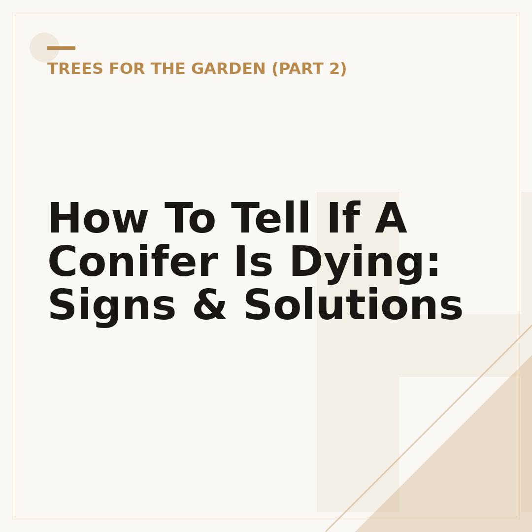 How To Tell If A Conifer Is Dying: Signs & Solutions