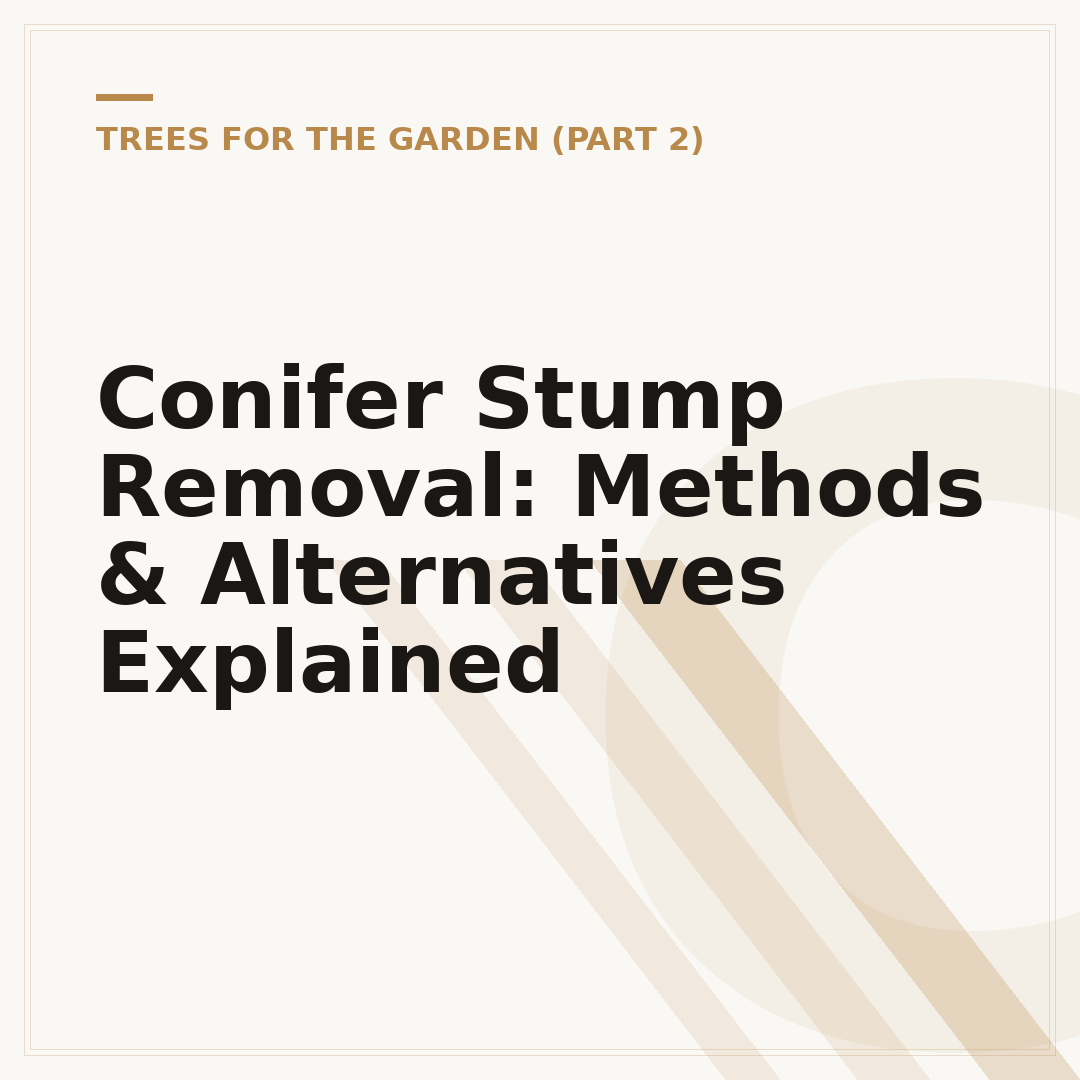 Conifer Stump Removal: Methods & Alternatives Explained