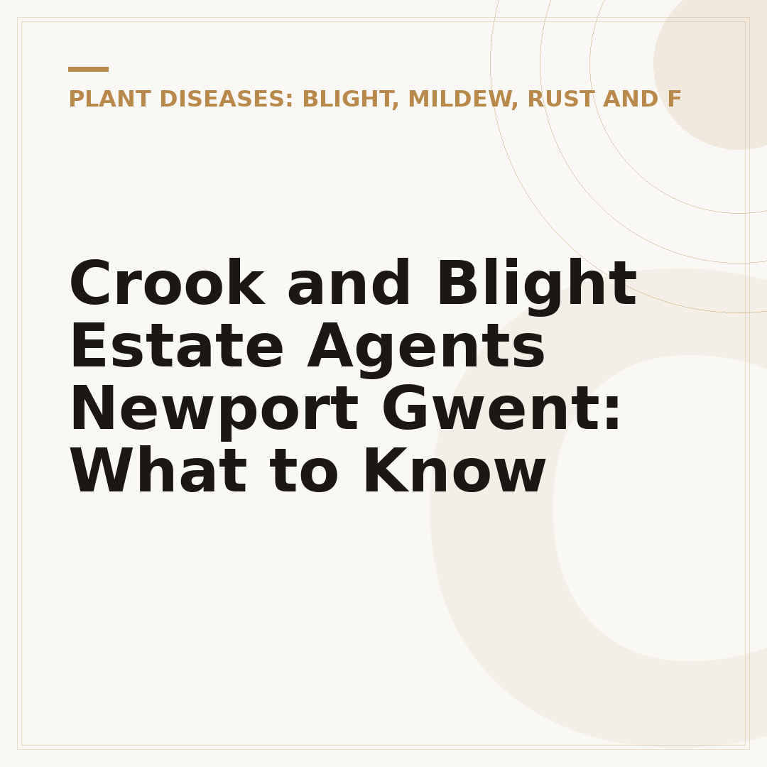 Crook and Blight Estate Agents Newport Gwent: What to Know