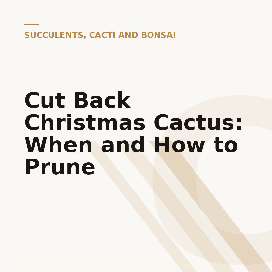 Cut Back Christmas Cactus: When and How to Prune