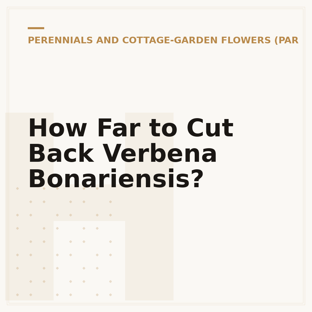 How Far to Cut Back Verbena Bonariensis?