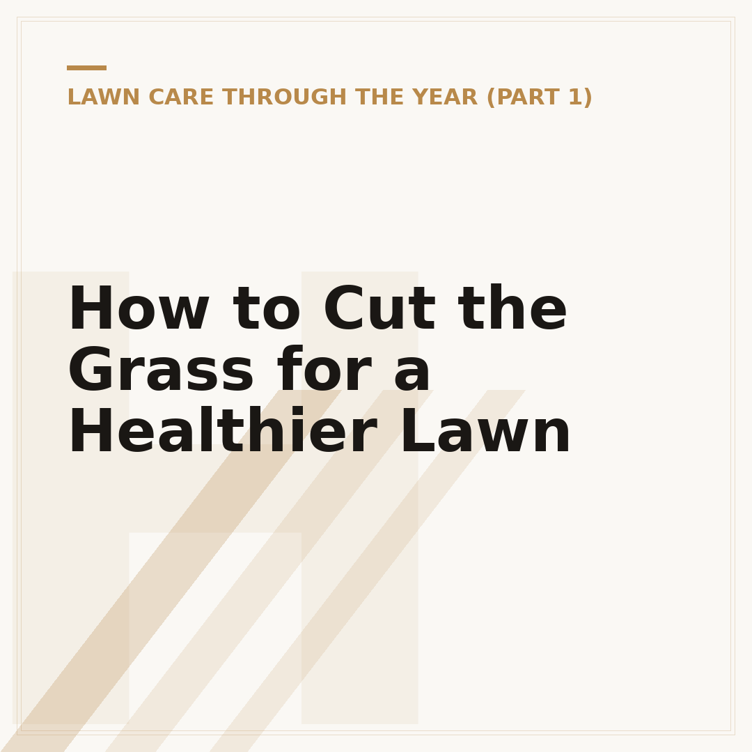 How to Cut the Grass for a Healthier Lawn