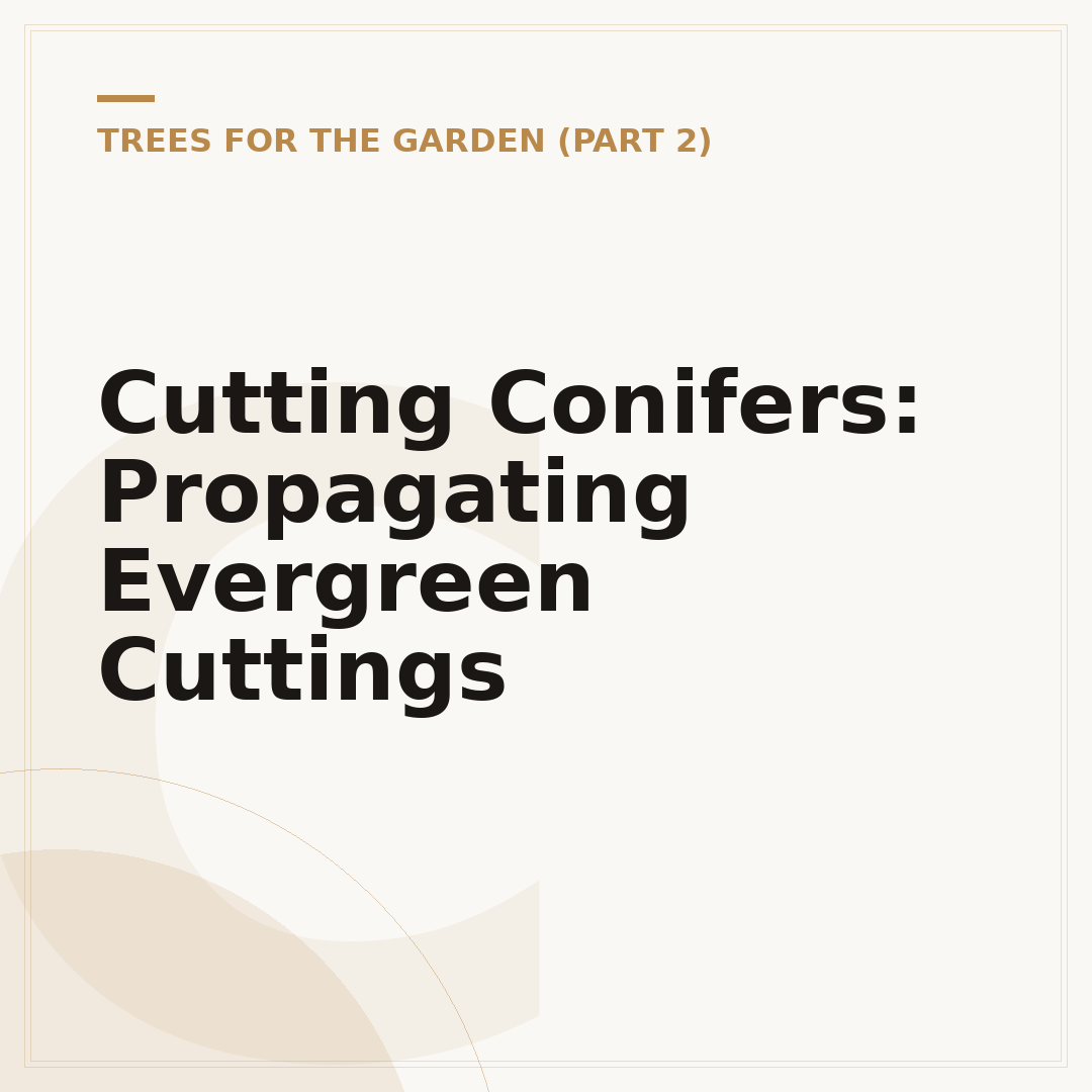 Cutting Conifers: Propagating Evergreen Cuttings