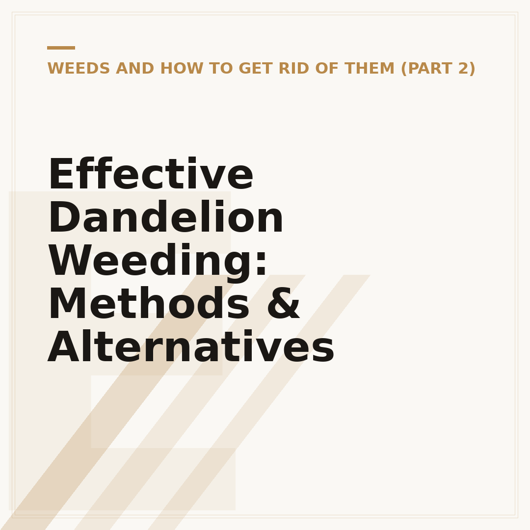 Effective Dandelion Weeding: Methods & Alternatives