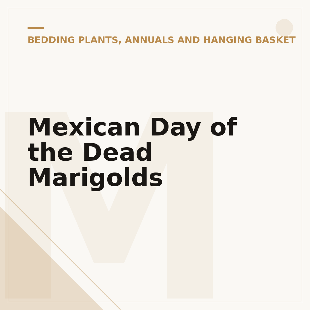 Mexican Day of the Dead Marigolds