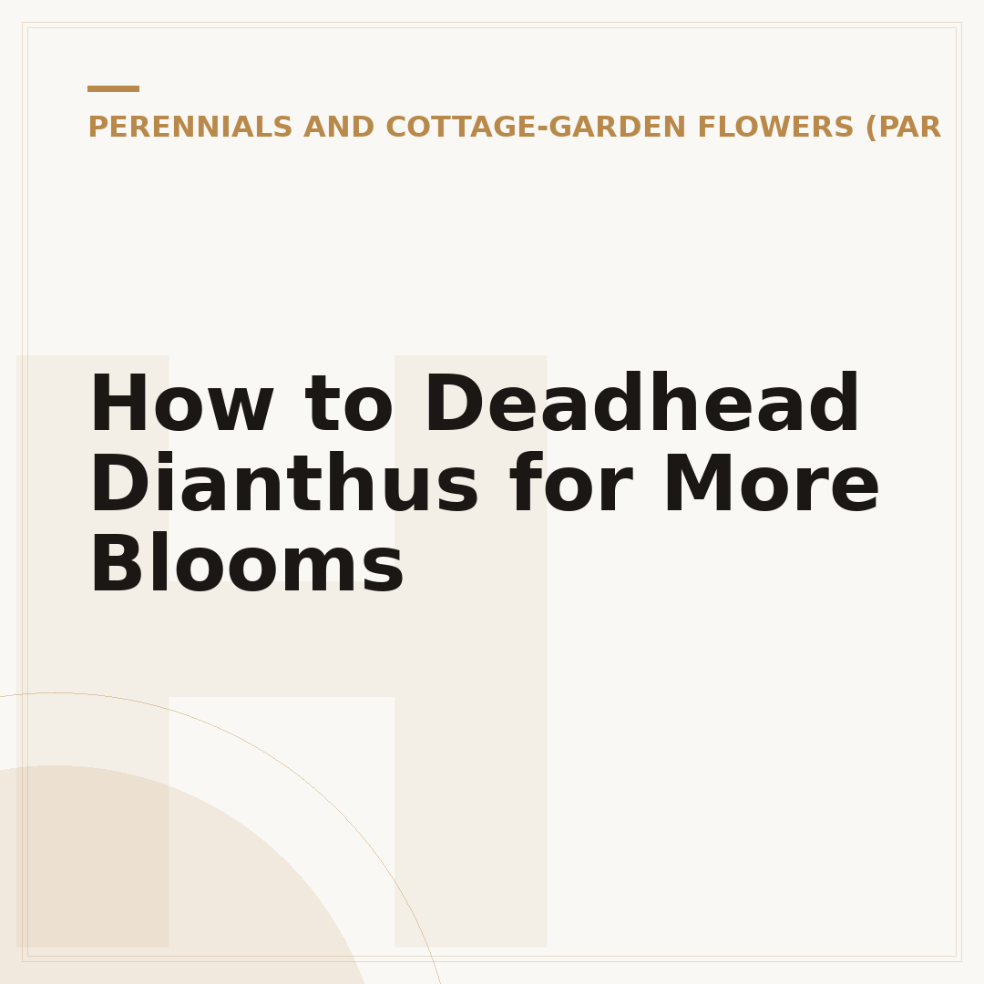 How to Deadhead Dianthus for More Blooms