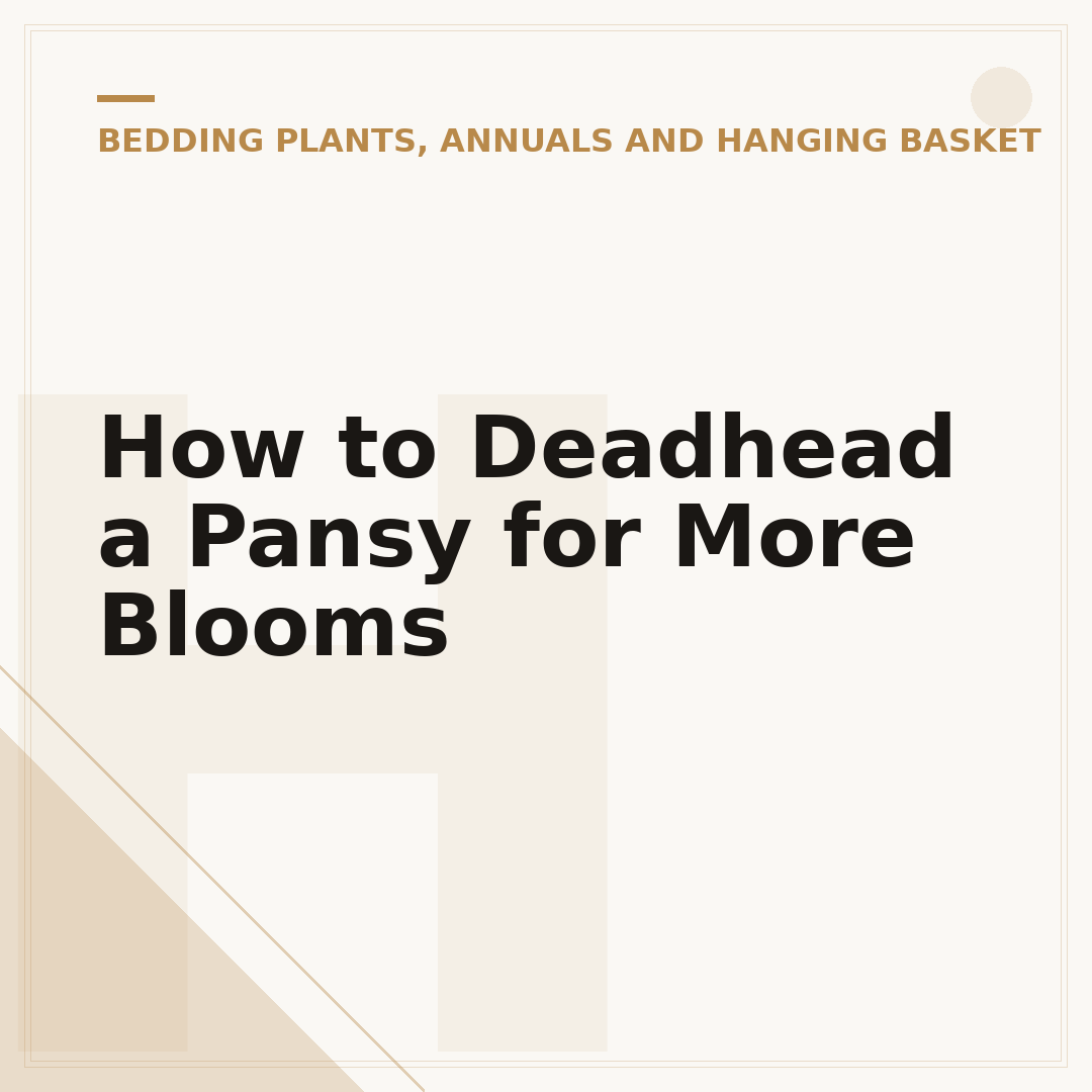 How to Deadhead a Pansy for More Blooms