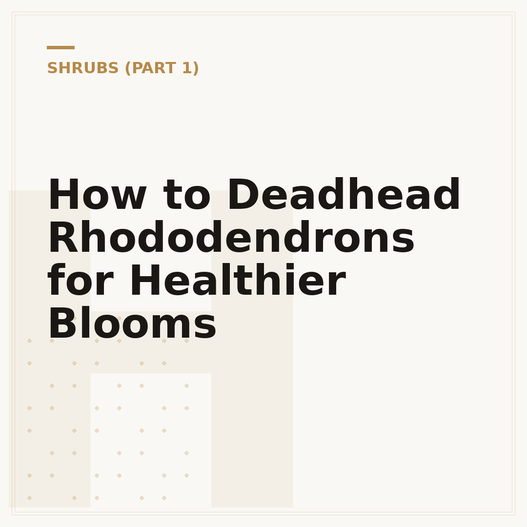 How to Deadhead Rhododendrons for Healthier Blooms