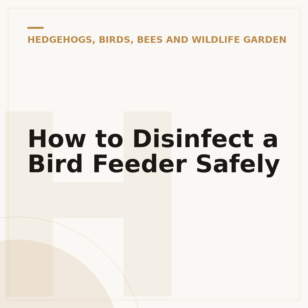 How to Disinfect a Bird Feeder Safely