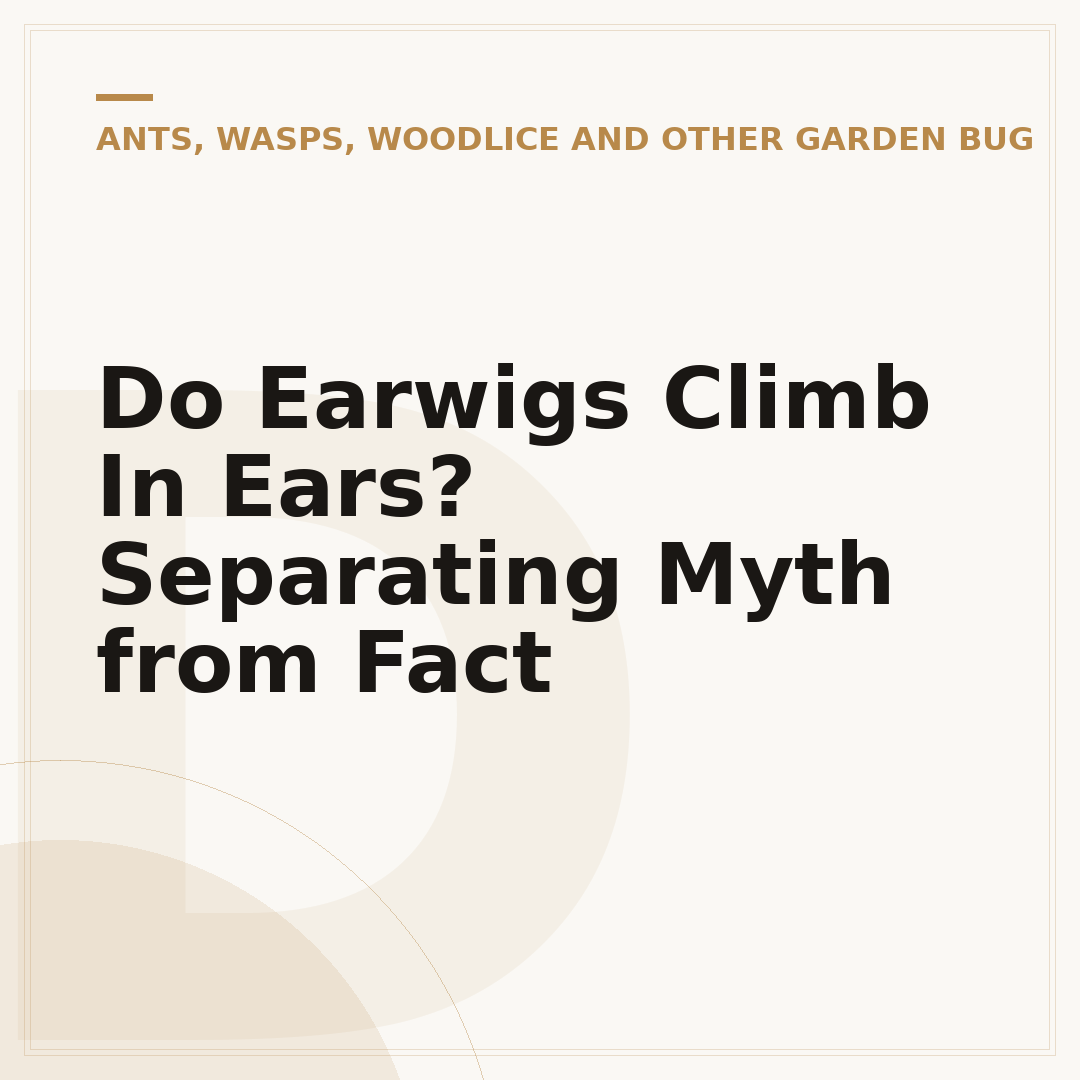 Do Earwigs Climb In Ears? Separating Myth from Fact