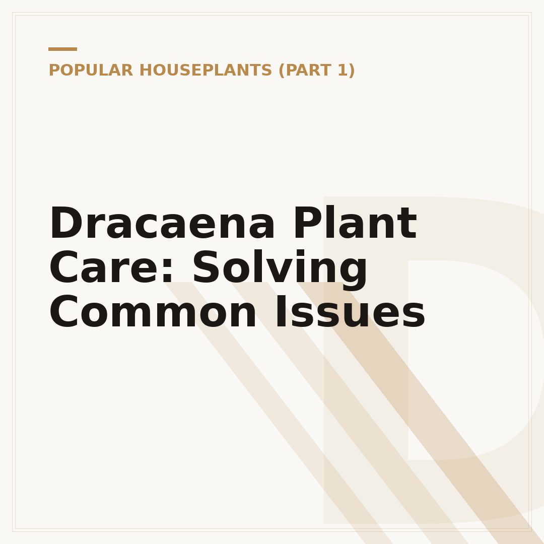 Dracaena Plant Care: Solving Common Issues