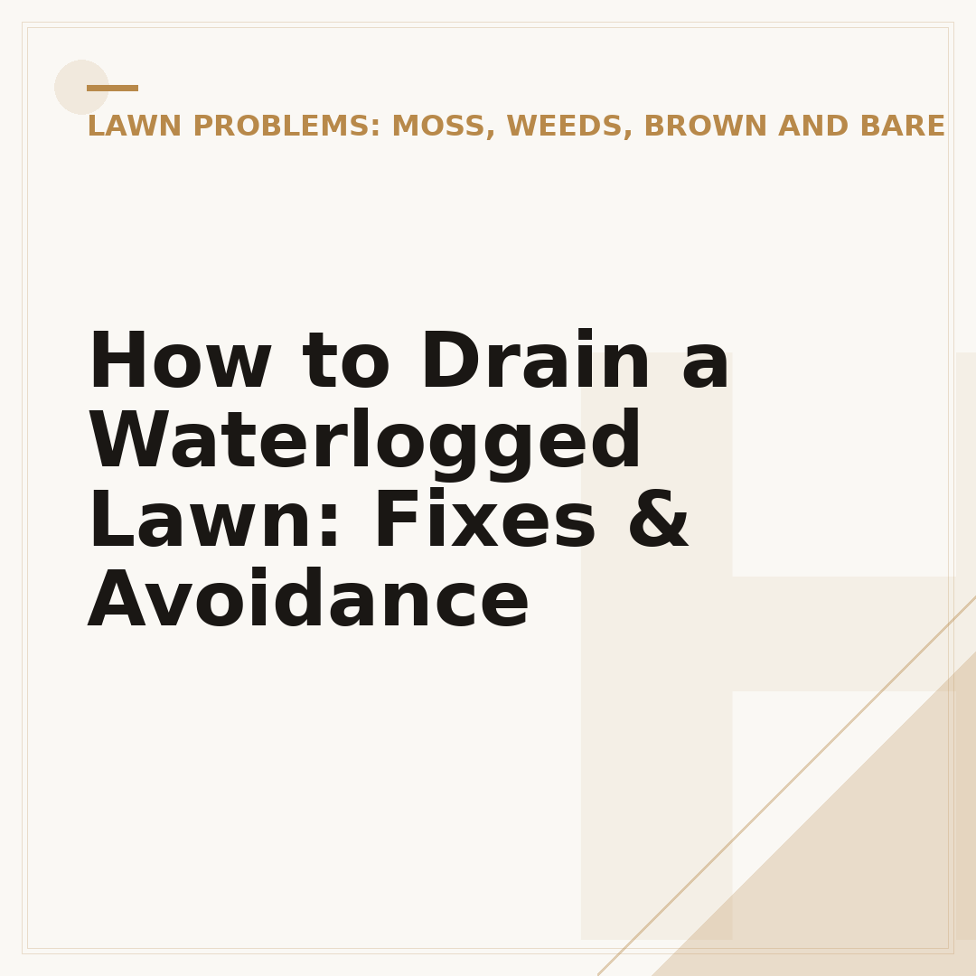 How to Drain a Waterlogged Lawn: Fixes & Avoidance