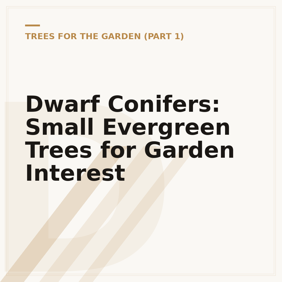 Dwarf Conifers: Small Evergreen Trees for Garden Interest
