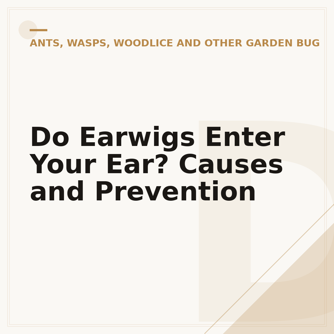 Do Earwigs Enter Your Ear? Causes and Prevention