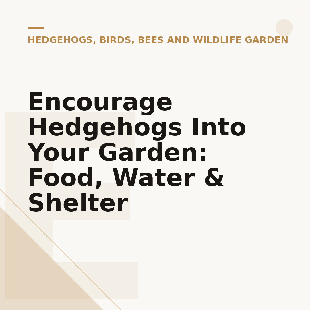 Encourage Hedgehogs Into Your Garden: Food, Water & Shelter
