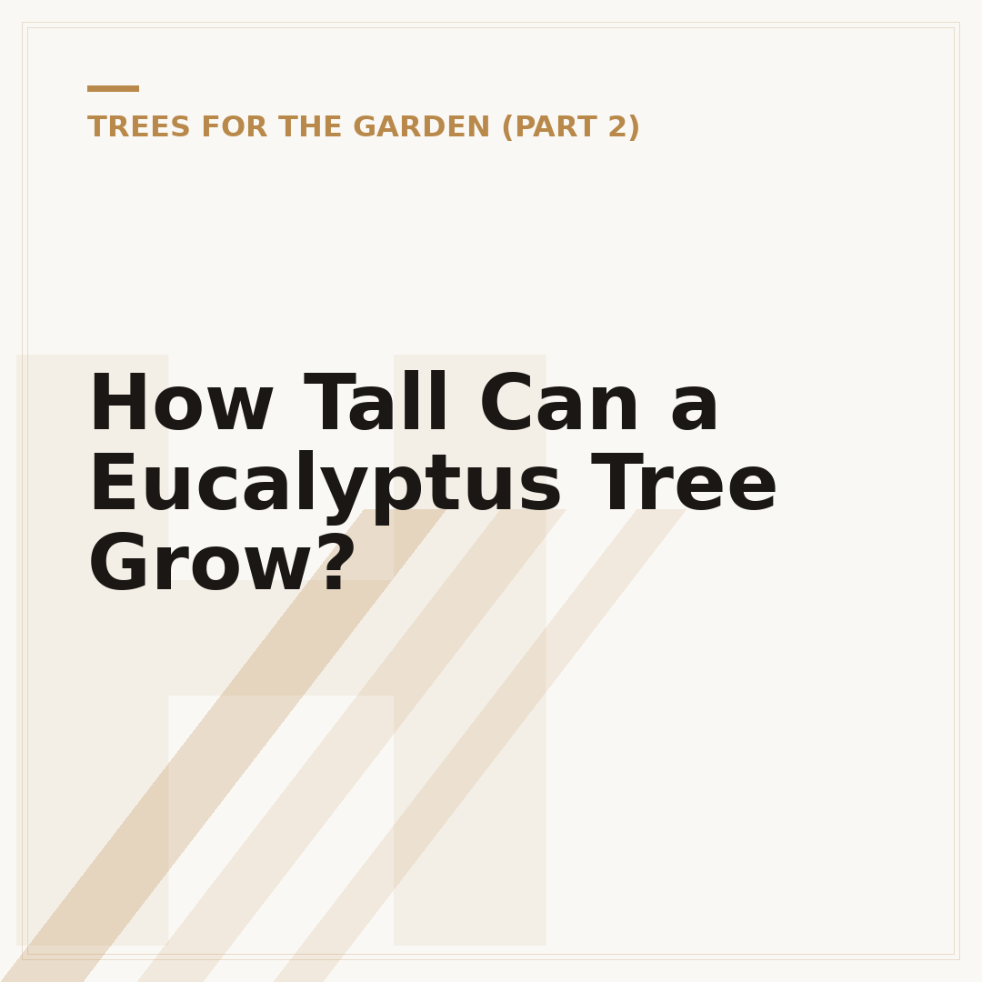 How Tall Can a Eucalyptus Tree Grow?